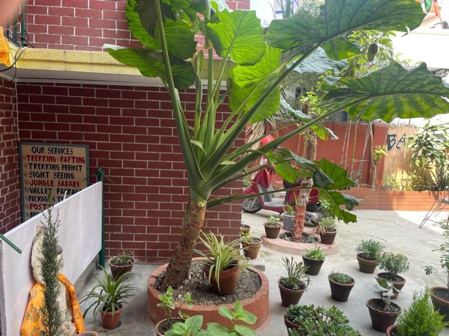 Nirvana Green Peace Home Kathmandu Bagian luar foto