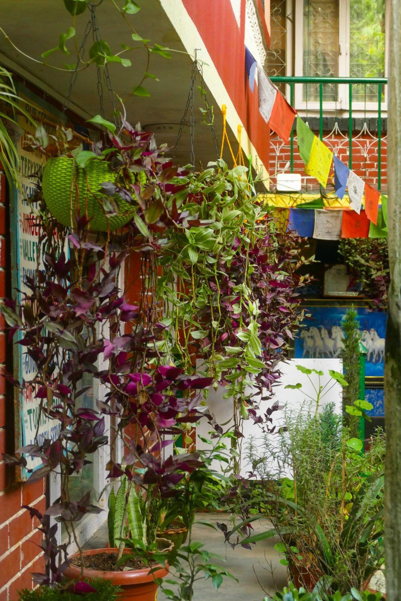 Nirvana Green Peace Home Kathmandu Bagian luar foto